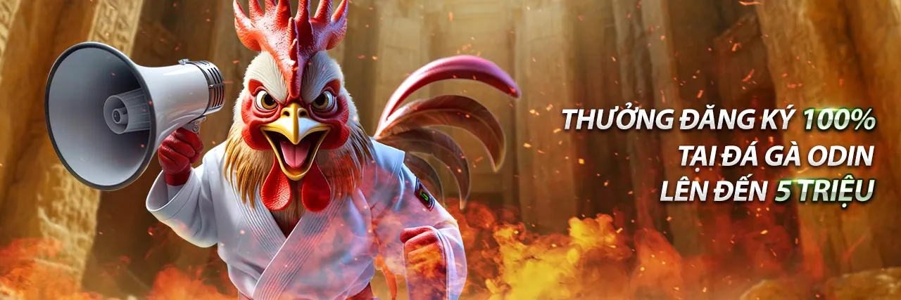 Hình ảnh giới thiệu 5net link vào chính thức